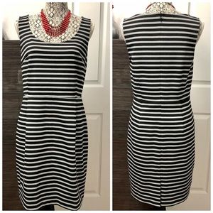 Ann Taylor Loft Black & Gray Stripes Dress